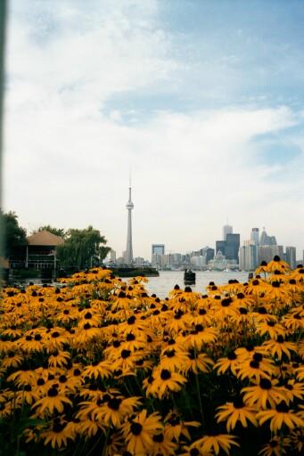 toronto toronto